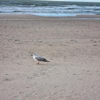 images/kolberg/kolberg-09.jpg